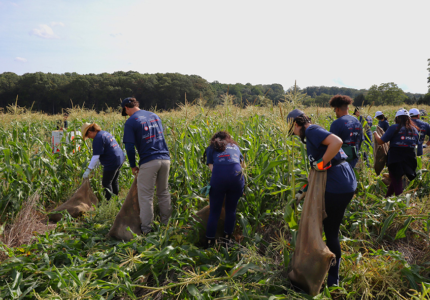 At PSEG, we’re proud to support the time our employees give to causes that matter. The Volunteer Grant Program helps turn that time into added impact – by providing up to $1,000 annually in grants to eligible nonprofits where our employees volunteer.