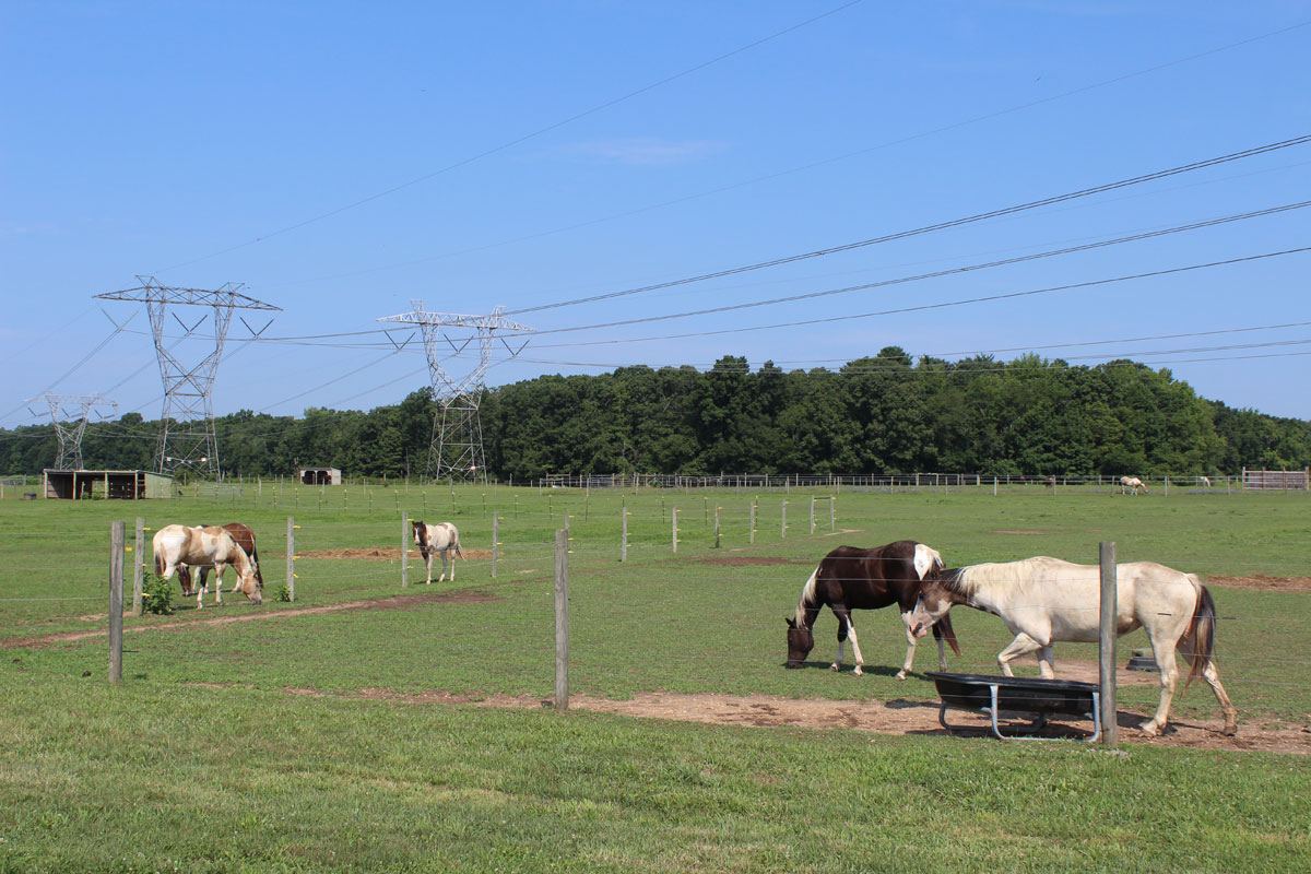 Show is a horse farm on an existing 500kV PSE&G line route in New Jersey.