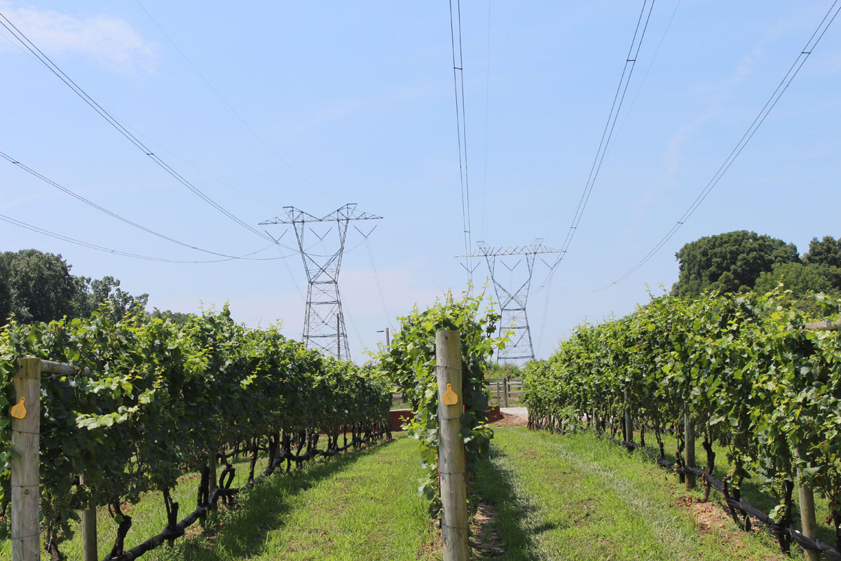 Shown is a winery on an existing 500kV PSE&G line route in New Jersey.