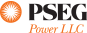 PSEG Power icon
